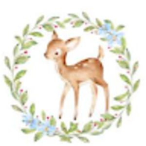 Meet your Posher, Alina